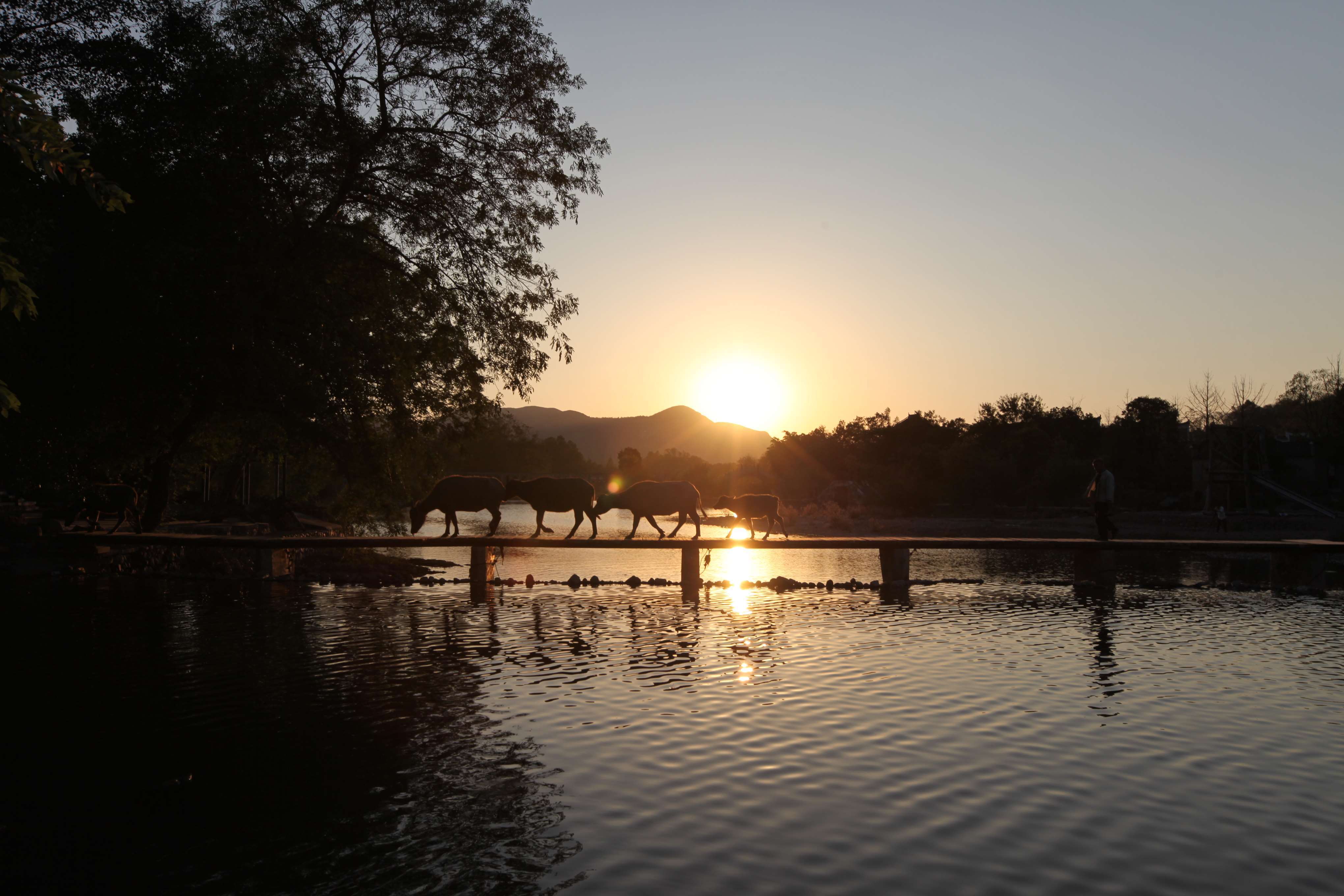 春节桂林自驾游