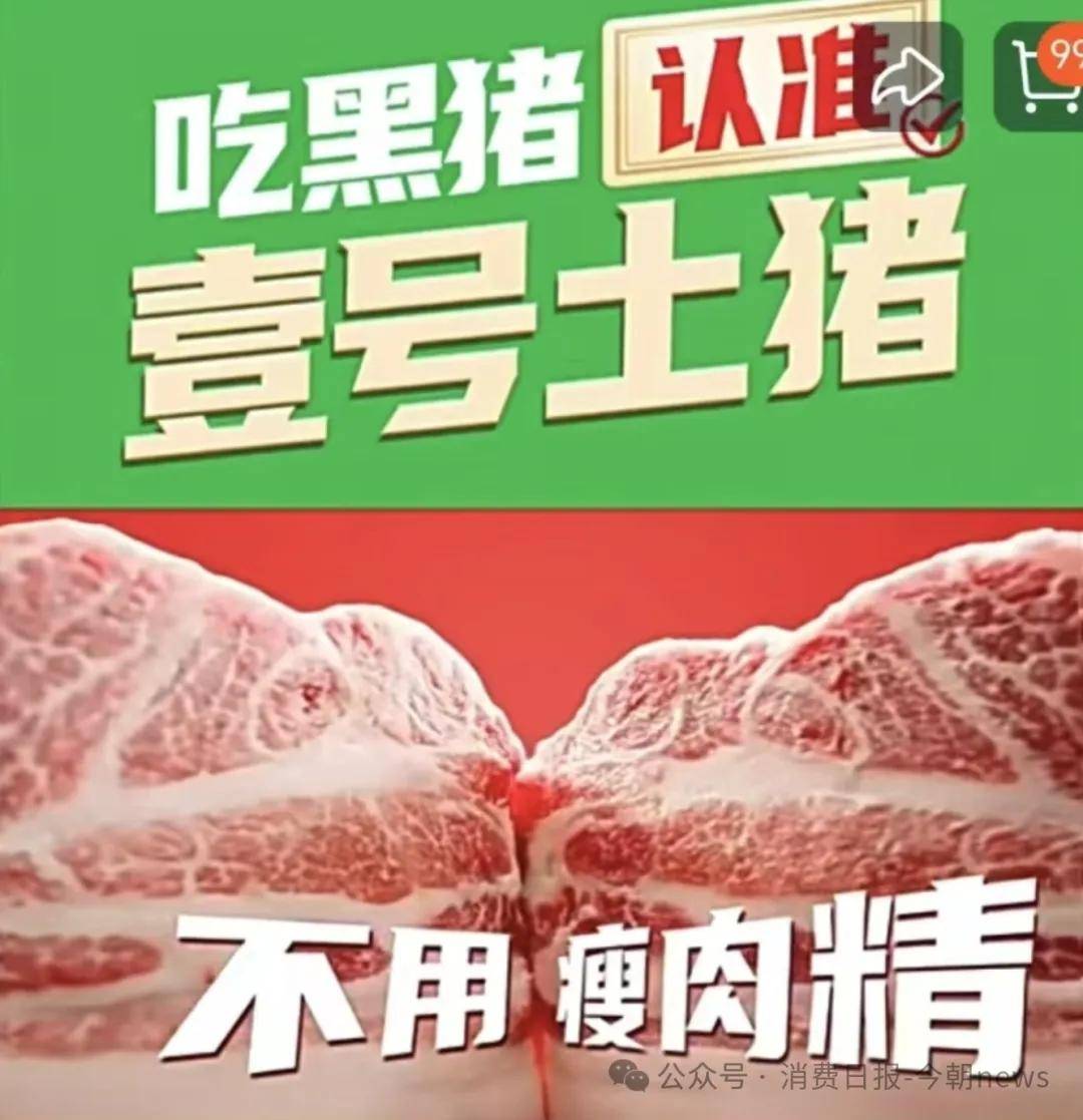 文章配图-2