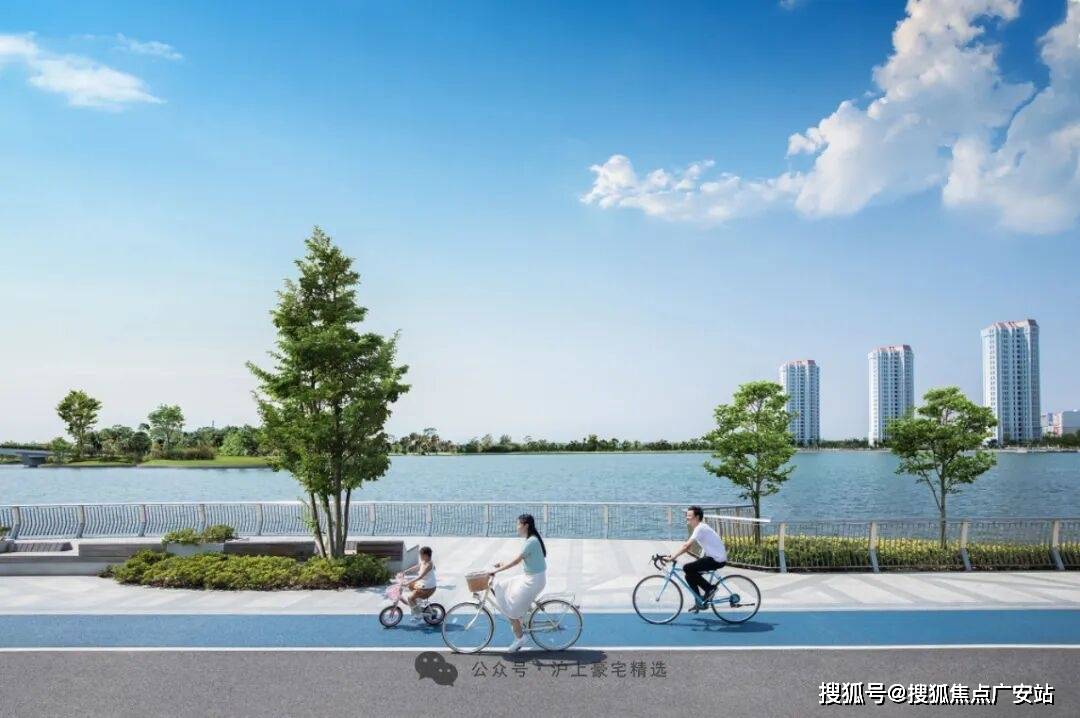 文章配图-14