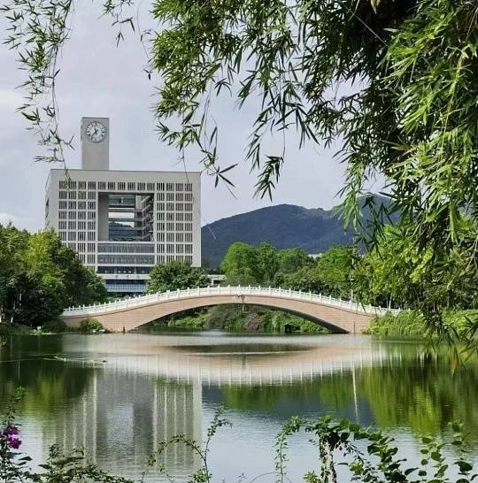 乐鱼体育- 乐鱼体育官网- APP世界杯指定平台重庆大学出国留学必备条件：本科  硕士、交换  双学位、自主申请全要求（2026 最新）-重庆大学招办电话