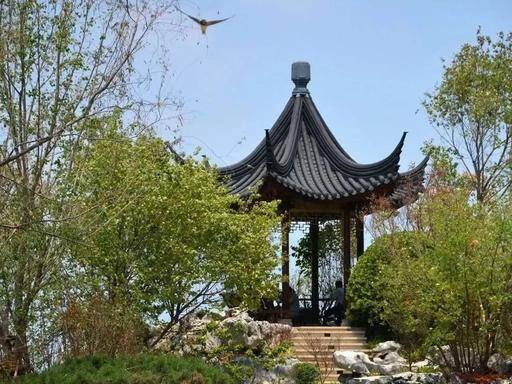 文章配图-5