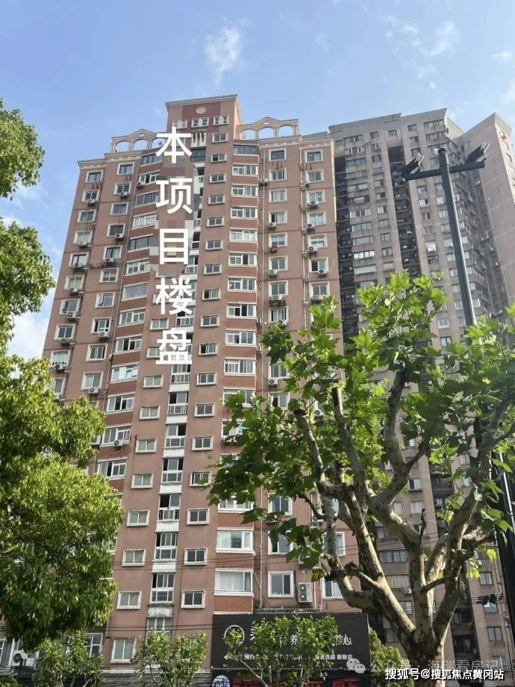 文章配图-6