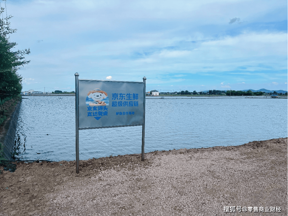 “京东鲈鱼定养”项目落户南京：以订单养殖，助力特色渔业提质增收