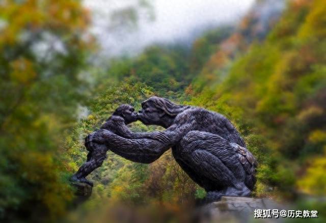 
        神农架野人，不是灵长类动物，而是上古遗民？