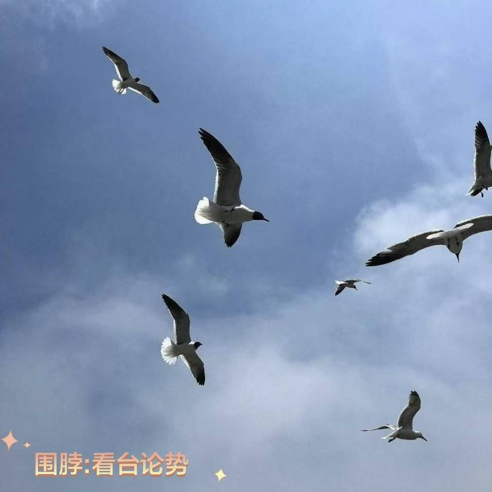 水晶宫 霍芬海姆