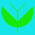 飞吧宝贝头像