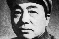 女生毕设被螨虫啃食心态崩了