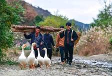 农村考生比例不足20%，顶尖高校为什么那么难考？