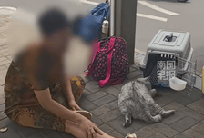 老人养了8年的猫被司机强行放后备箱致缺氧死亡，司机趁乱离开并拉黑联系方式；老人女儿：母亲曾提出加钱买个座抱猫乘车遭司机拒绝