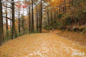 被落石砸中身亡男子为医务工作者