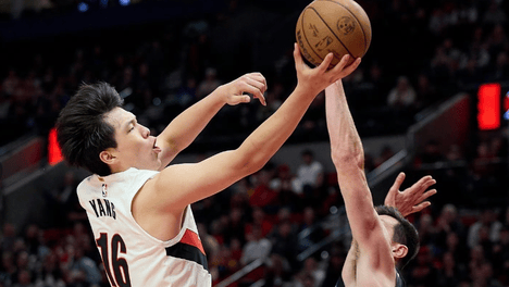 重庆一猫咪睡在公园被路人轮流扇风