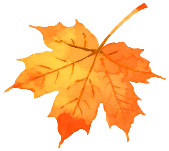 王迅 欠他们的工钱真的太不应该