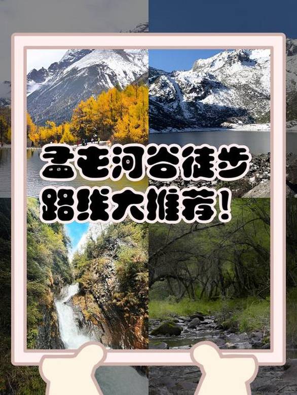 2025高考作文题汇总