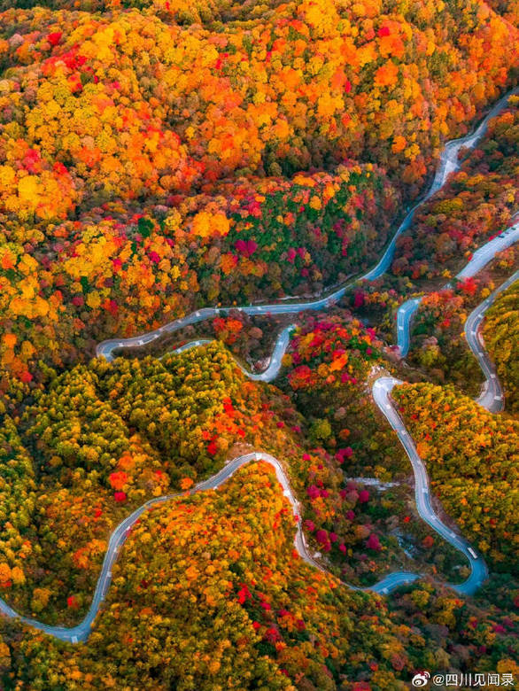林更新提名白玉兰最佳男配角