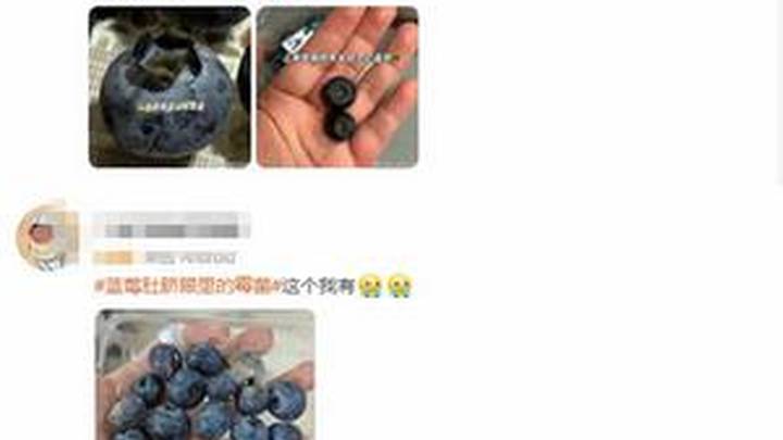 蓝莓肚脐眼里的霉菌,会让你吃坏肚子吗?