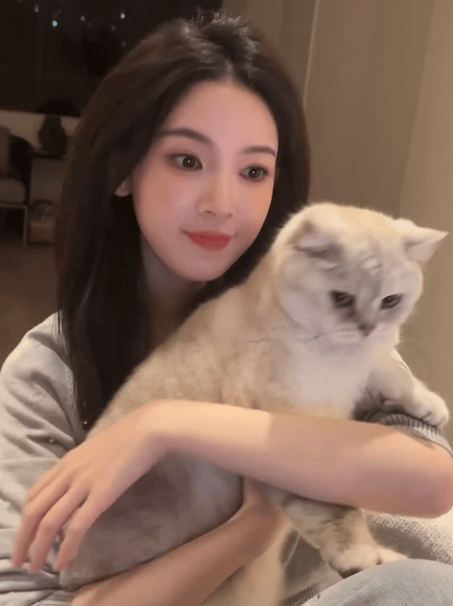 陈瑶晒居家美照！抱着猫咪自拍露温柔笑容可爱迷人