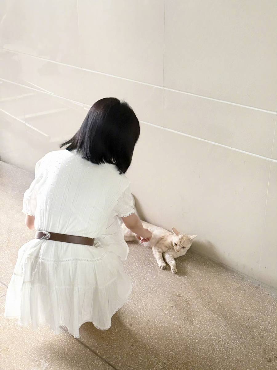 白鹿分享八月日常plog 撸猫遛狗松弛又治愈
