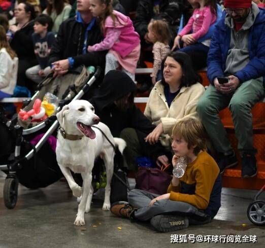 2025年美国国际宠物用品展览会Pet Expo不可错过(图5)