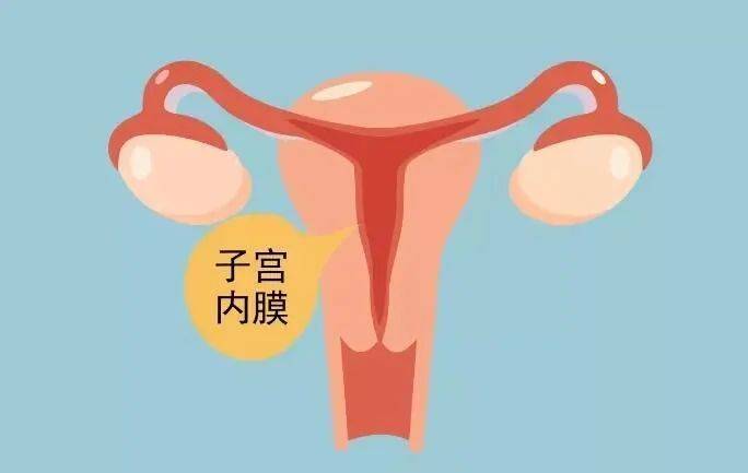 什么样的子宫内膜容易怀孕？越早知道越好