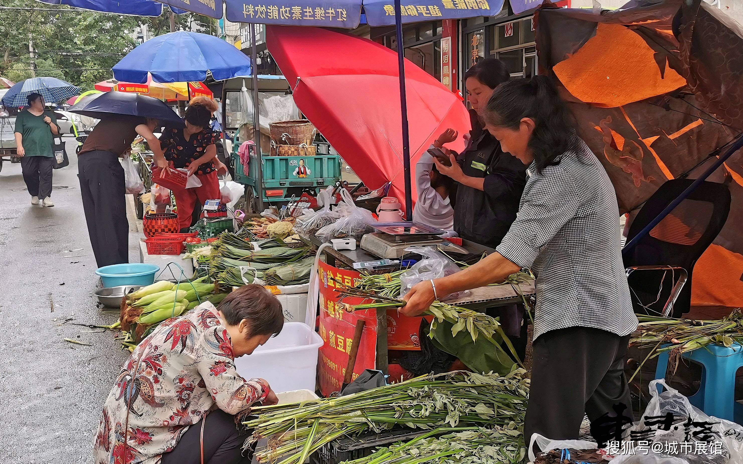 人民政协网 :澳门最精准免费资料大全98期-今起报名！通州文化馆“夜校”开课啦！免费学习摄影、化妆、瑜伽、合唱……