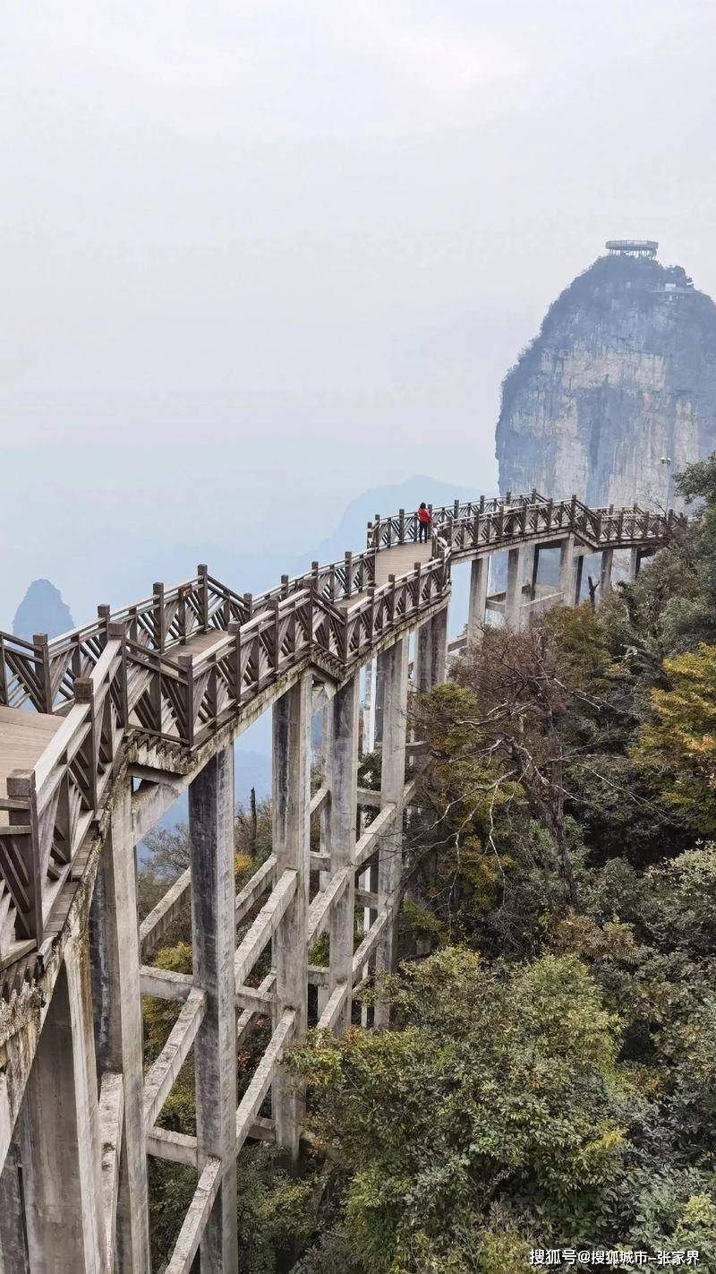 老人去张家界天门山适合自由行吗，天门山老人门票价格及优惠！！！