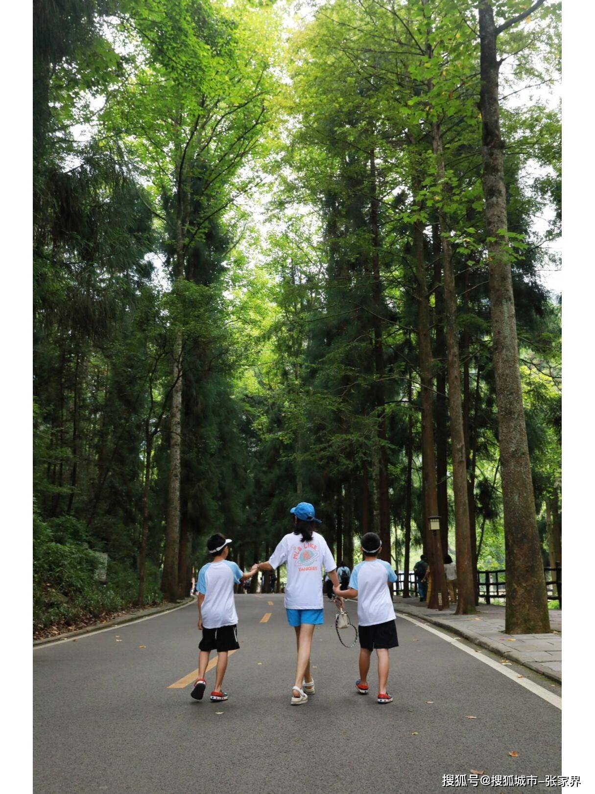 Binance Casino - 领先的数字货币娱乐场，安全稳定，极速存取湖南张家界旅游4天3夜自驾游张家界旅游费用多少钱？省钱攻略分享
