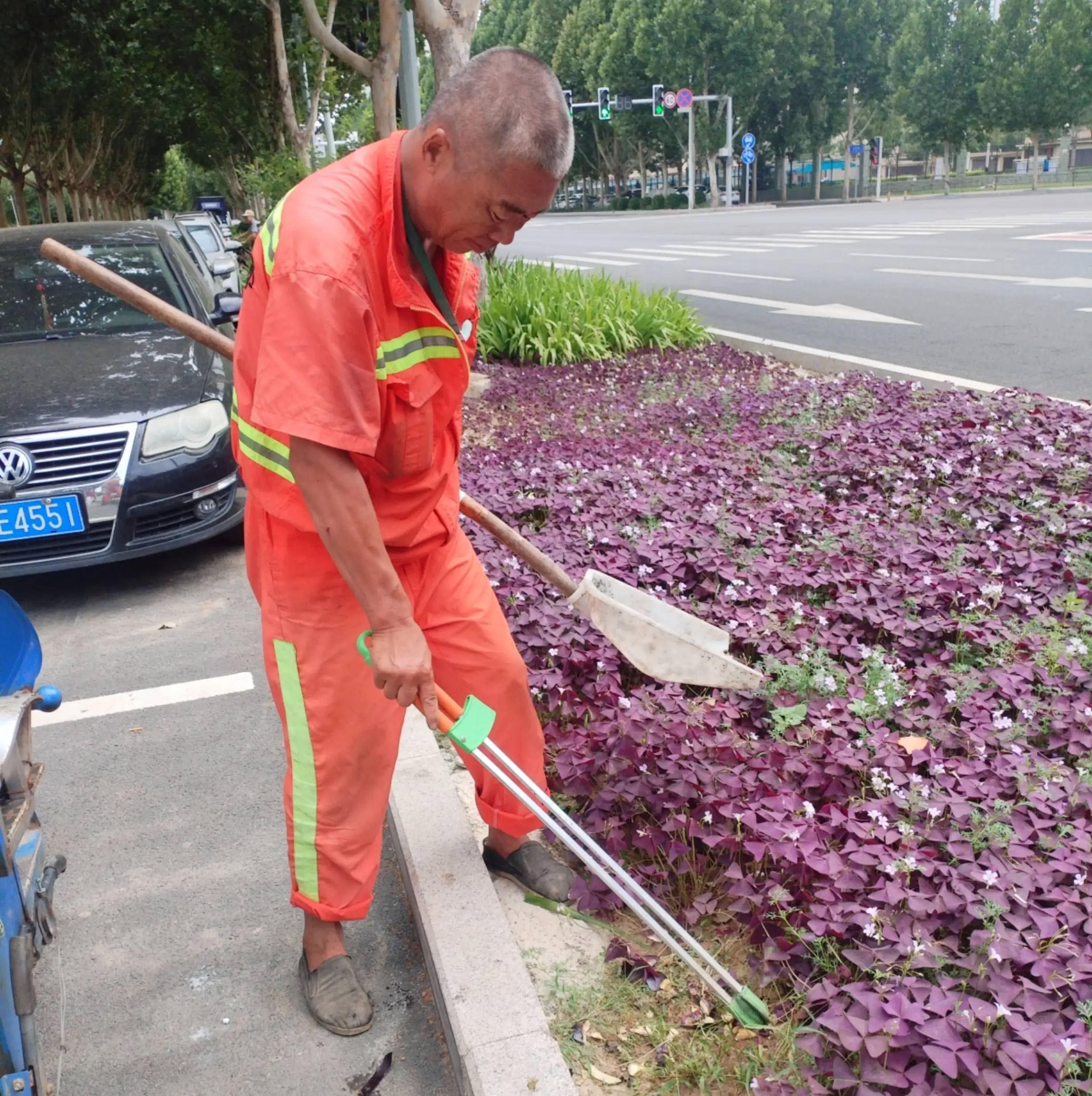 必赢官网守护城市之绿：亮城环卫公司加强树坑绿化带清扫工作(图2)