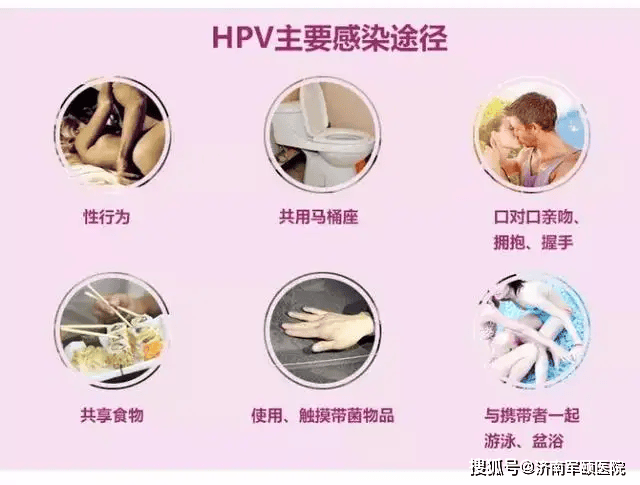 HPV为什么会引起生殖器疱疹？(图2)