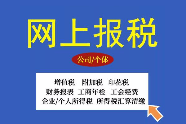 公司如何进行税务申报(图2)