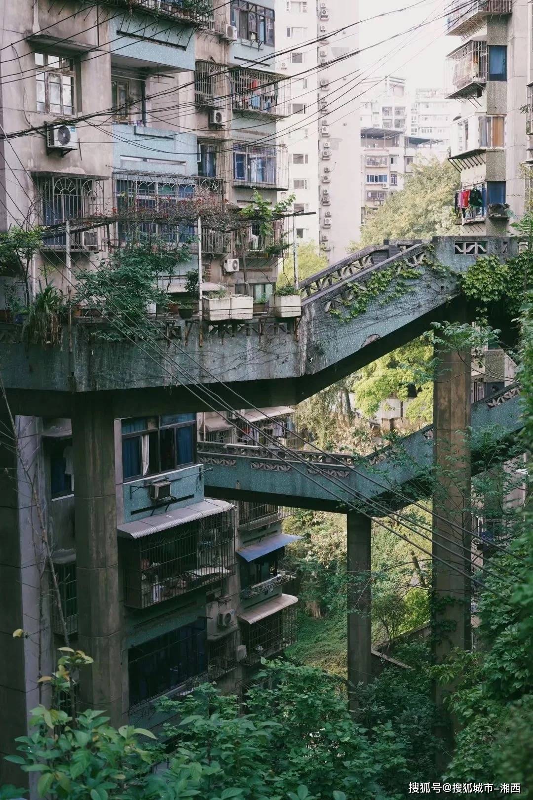 重庆旅行团旅游报价｜｜重庆旅行团四日游