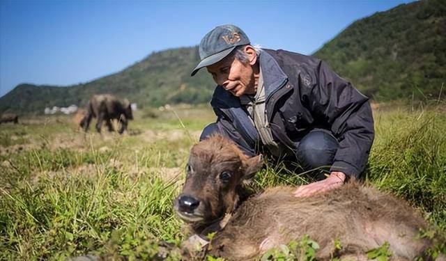 67年毛主席的警卫李连庆回乡被村民嘲笑：多年来还是个炊事员欧博体育网址(图25)