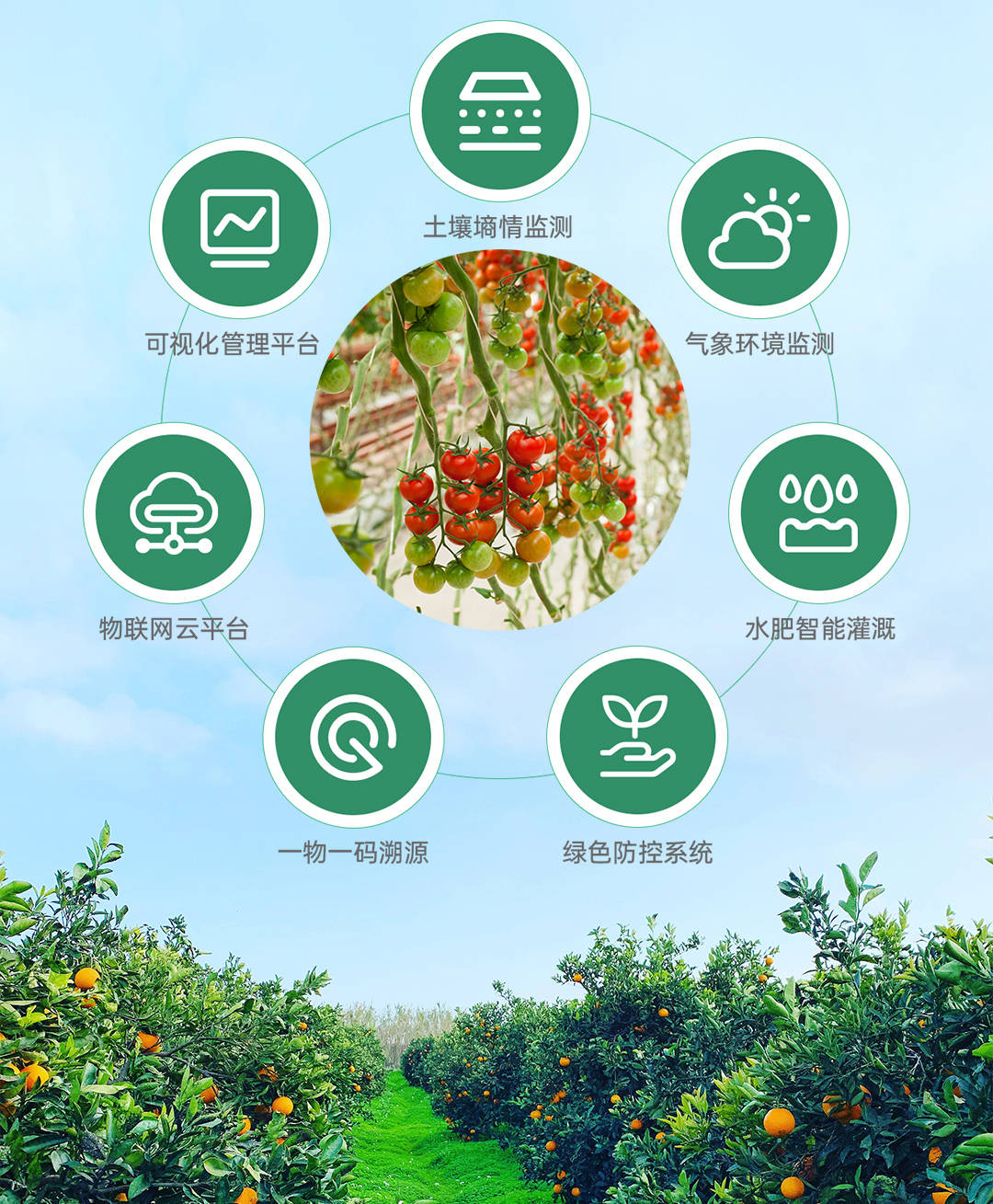 果农在线平台：搭建桥梁，缩短距离
