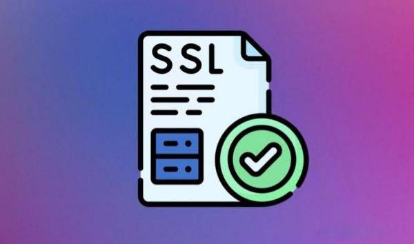 ssl证书市场前景(ssl证书干嘛的)（ssl证书是干嘛的）  第1张