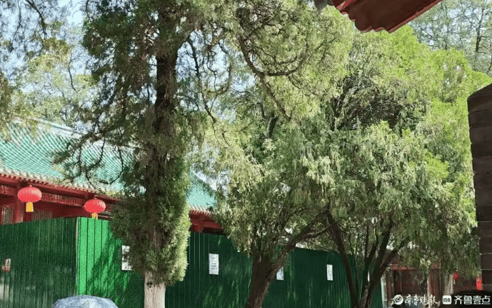 少林寺新变化：推行“佛门996”后数十个和尚离职 收费扫码项目消失