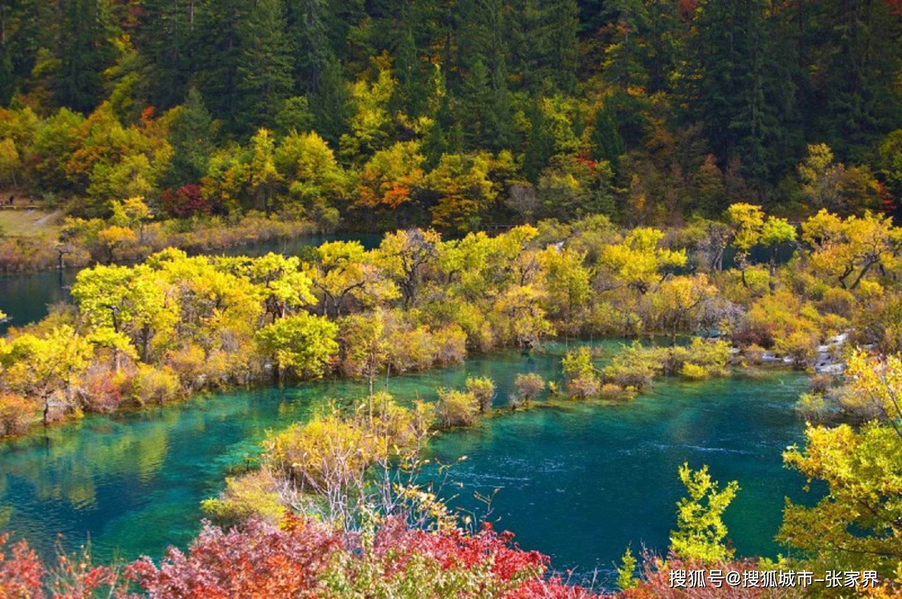 Binance Casino - 领先的数字货币娱乐场，安全稳定，极速存取四川九寨沟乐山大佛旅游攻略团建五日游具体行程和线路规划实用攻略！