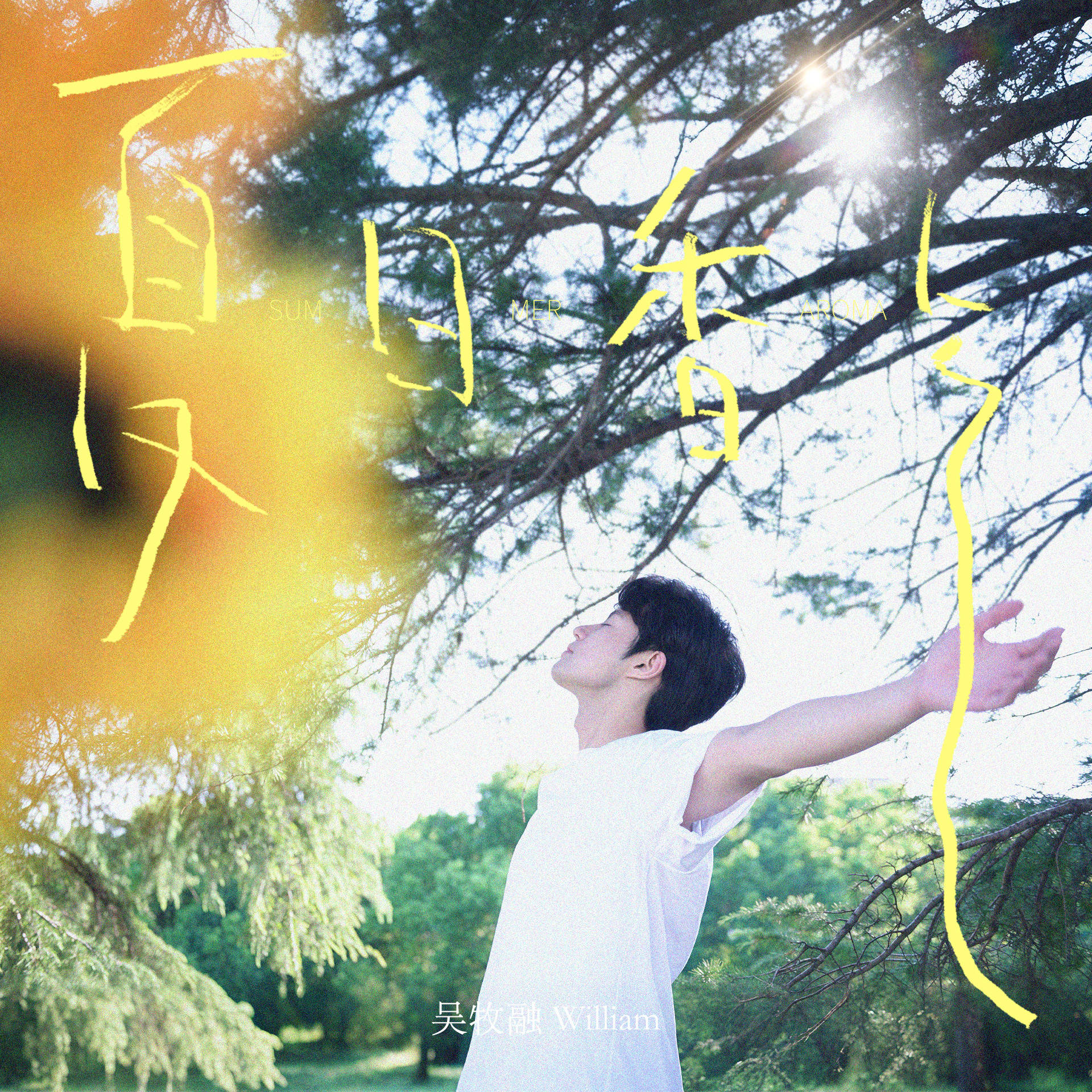 全网好评！吴牧融《夏日香气》上线 高学历歌手传递夏日追梦正能量