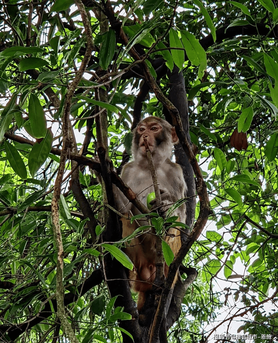 “2025年张家界私家团5日游跟团游玩最佳