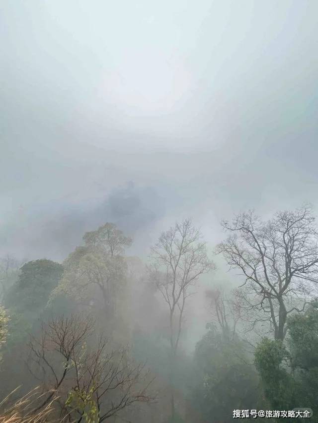 四川带家人旅游五天四晚怎么安排？5天4晚Binance Casino - 领先的数字货币娱乐场，安全稳定，极速存取多少钱？一站式获取九寨沟旅游路线攻略解锁旅行新视角看完这篇攻略全明白