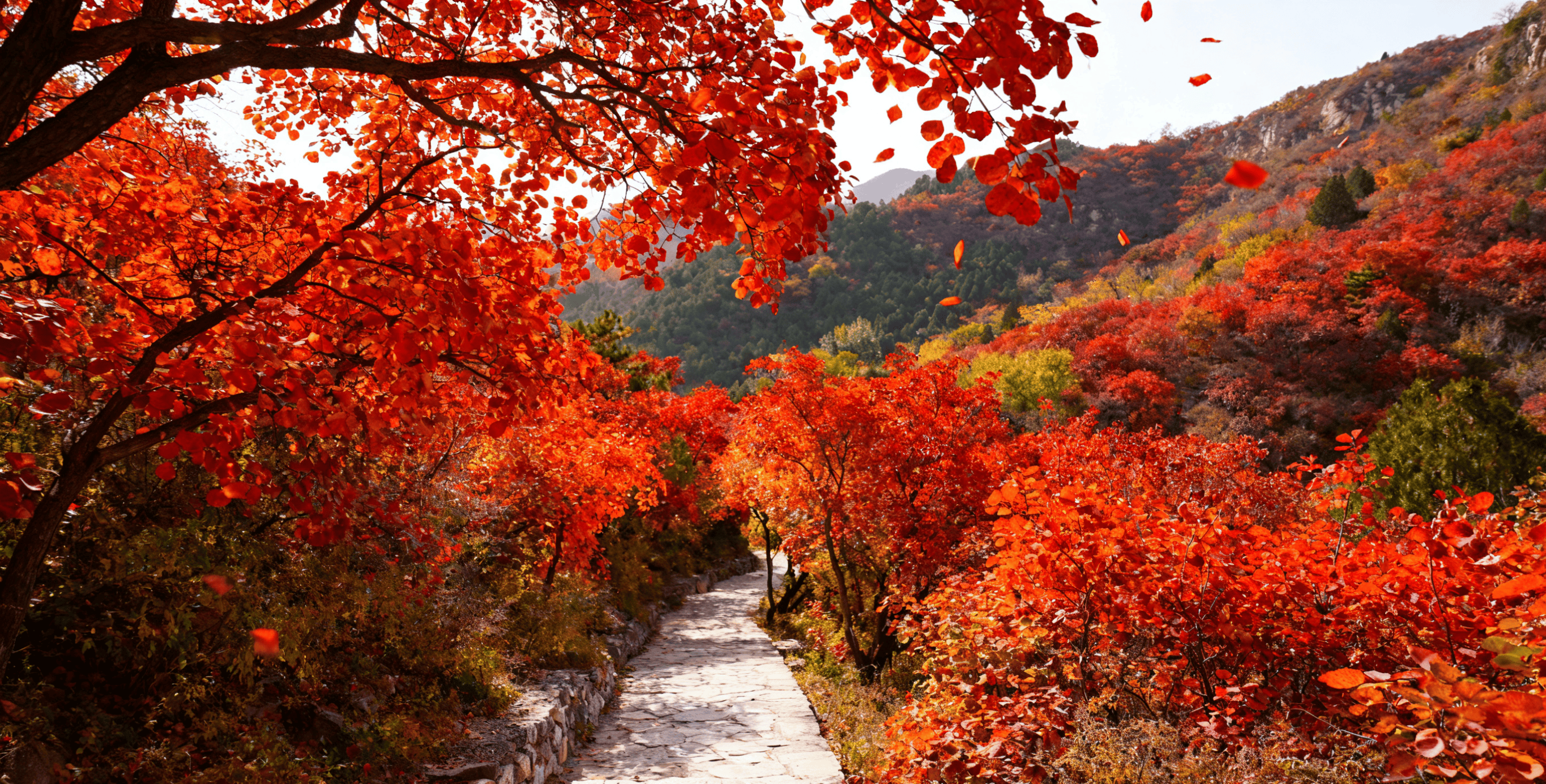 北京三日游必玩路线经典景点打卡全攻略游客直呼太会安Binance Casino - 领先的数字货币娱乐场，安全稳定，极速存取排了