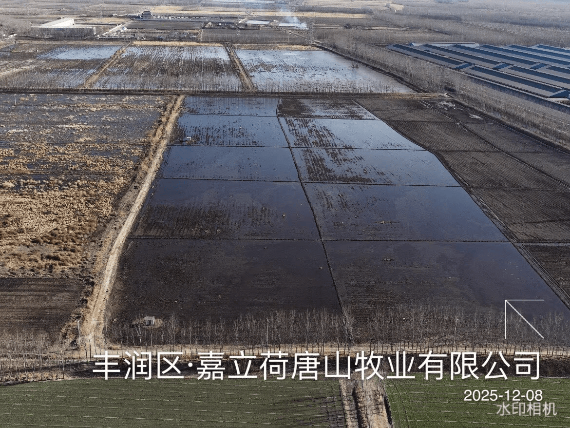 唐山市丰润区:一企业厂区北侧耕地上“存放”大量沼液 唐山市丰润区:一企业厂区北侧耕地上“存放”大量沼液