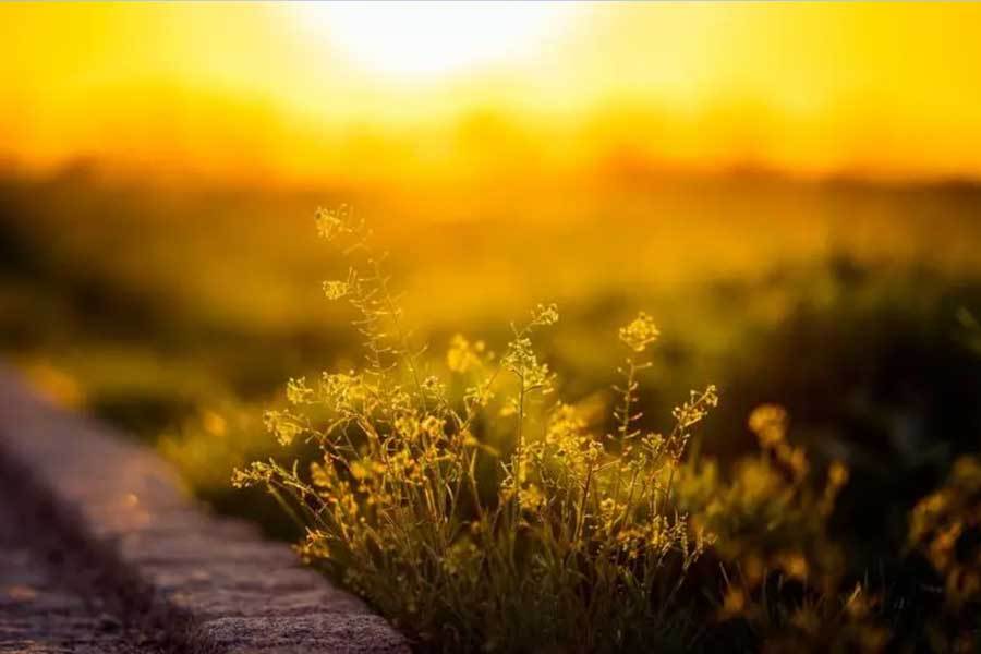 在线体育博彩- 合法体育、彩票和赛马- 