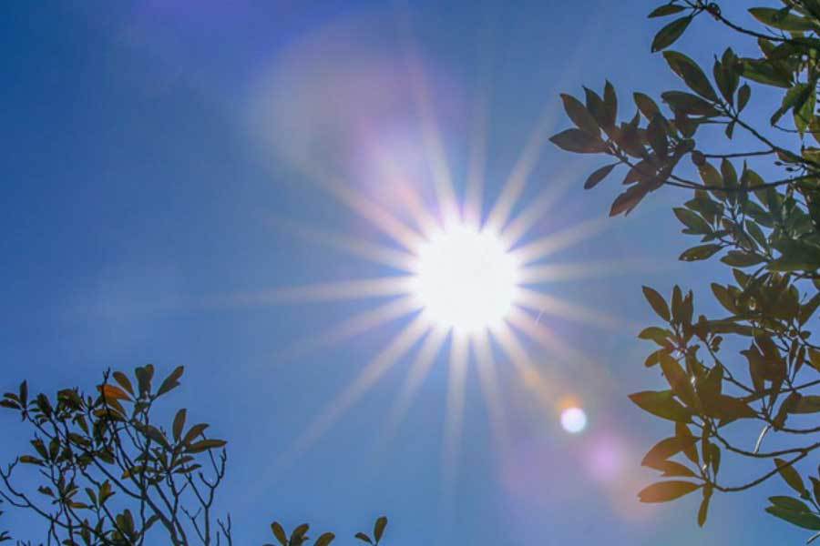 日本帝国数据库调查显示食品将涨价