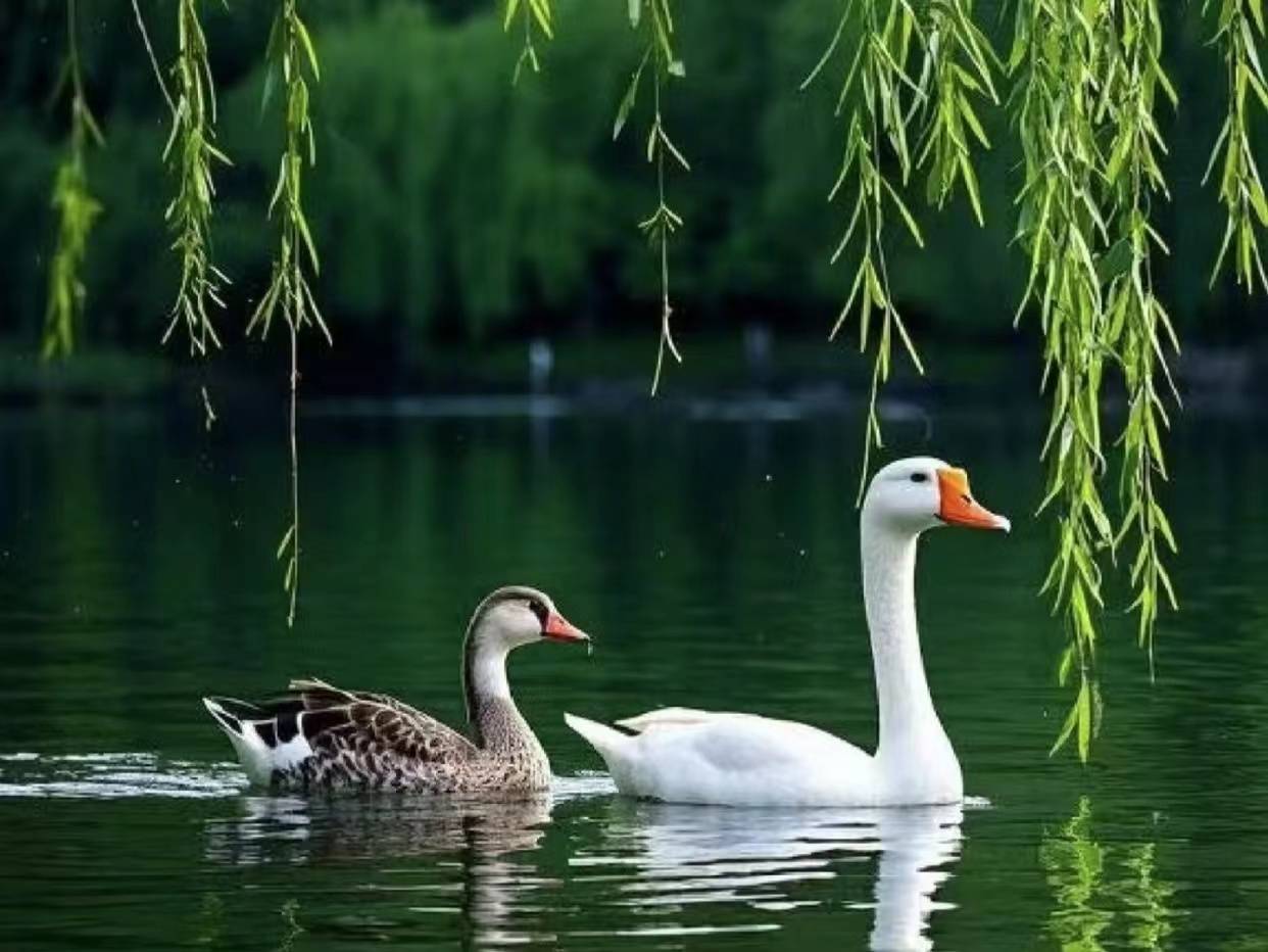 微信图片_20260509174115_3648_6.jpg