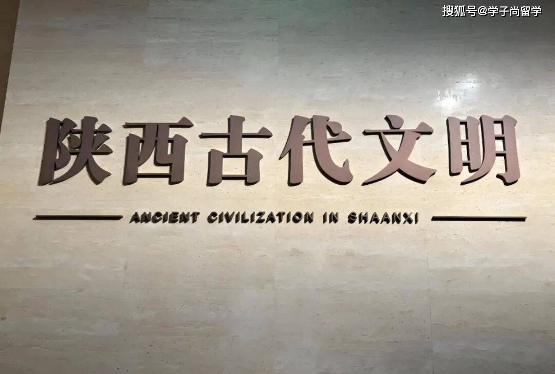 微信图片_2026-07-01_144752_478.jpg