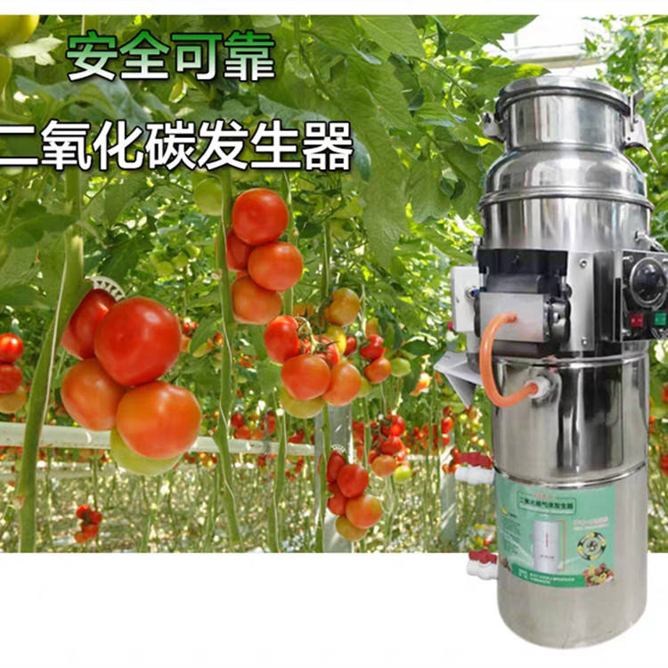 蔬菜水果温室CO₂发生器促进光合作用
