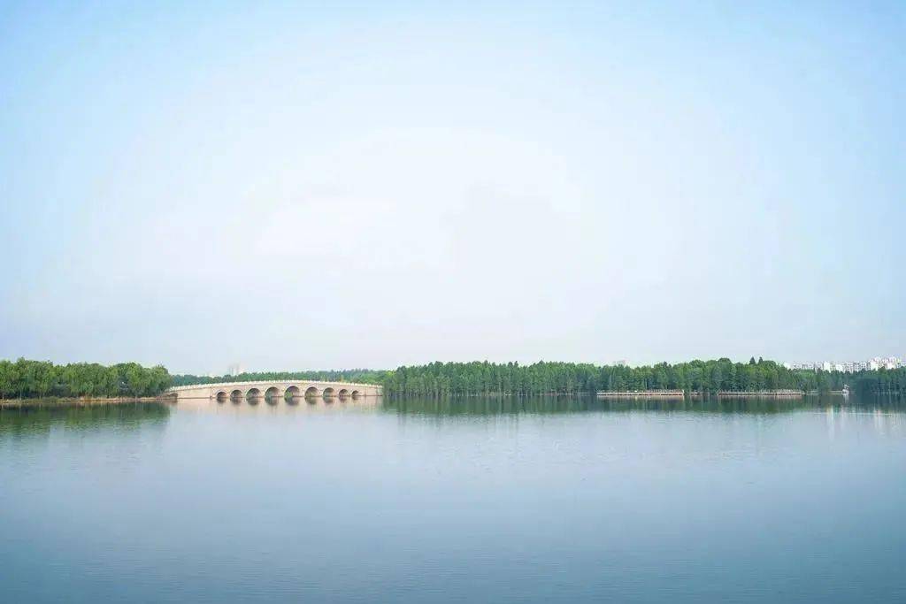 中国最美公路 | 泰州大桥：屹立长江畔，巍峨秀丽