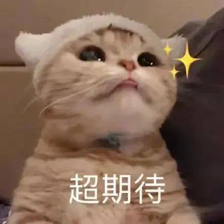 文章配图-6