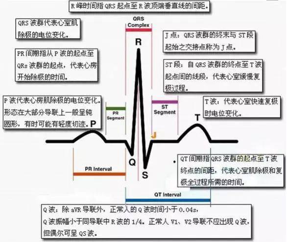 值班必备 | 常见心律失常的诊疗