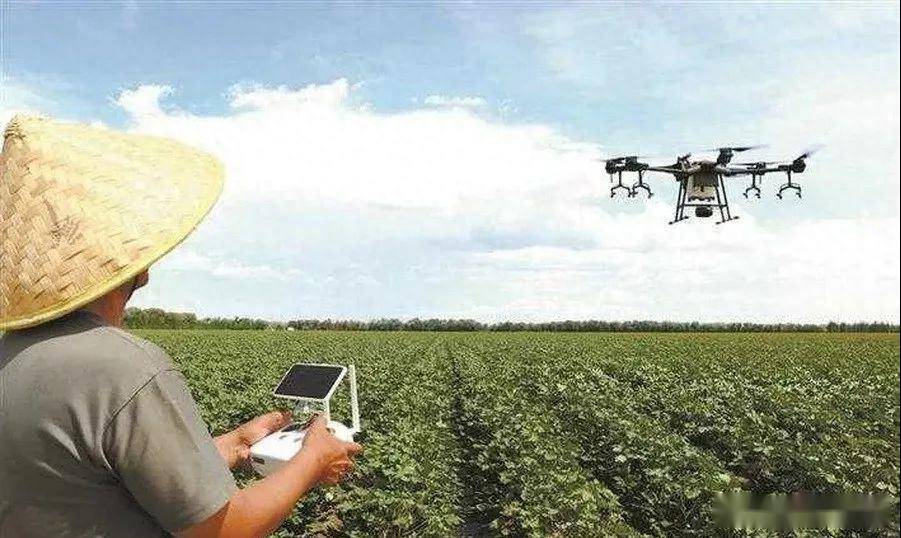 植保无人机在棉田管理中的应用技术探索  棉田 无人机 植保 应用技术 探索 第1张
