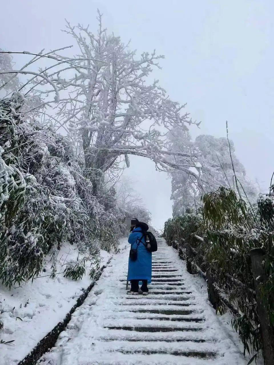痛心！23岁女大学生峨眉山旅游失联、确认身亡，遗体在山崖下被找到